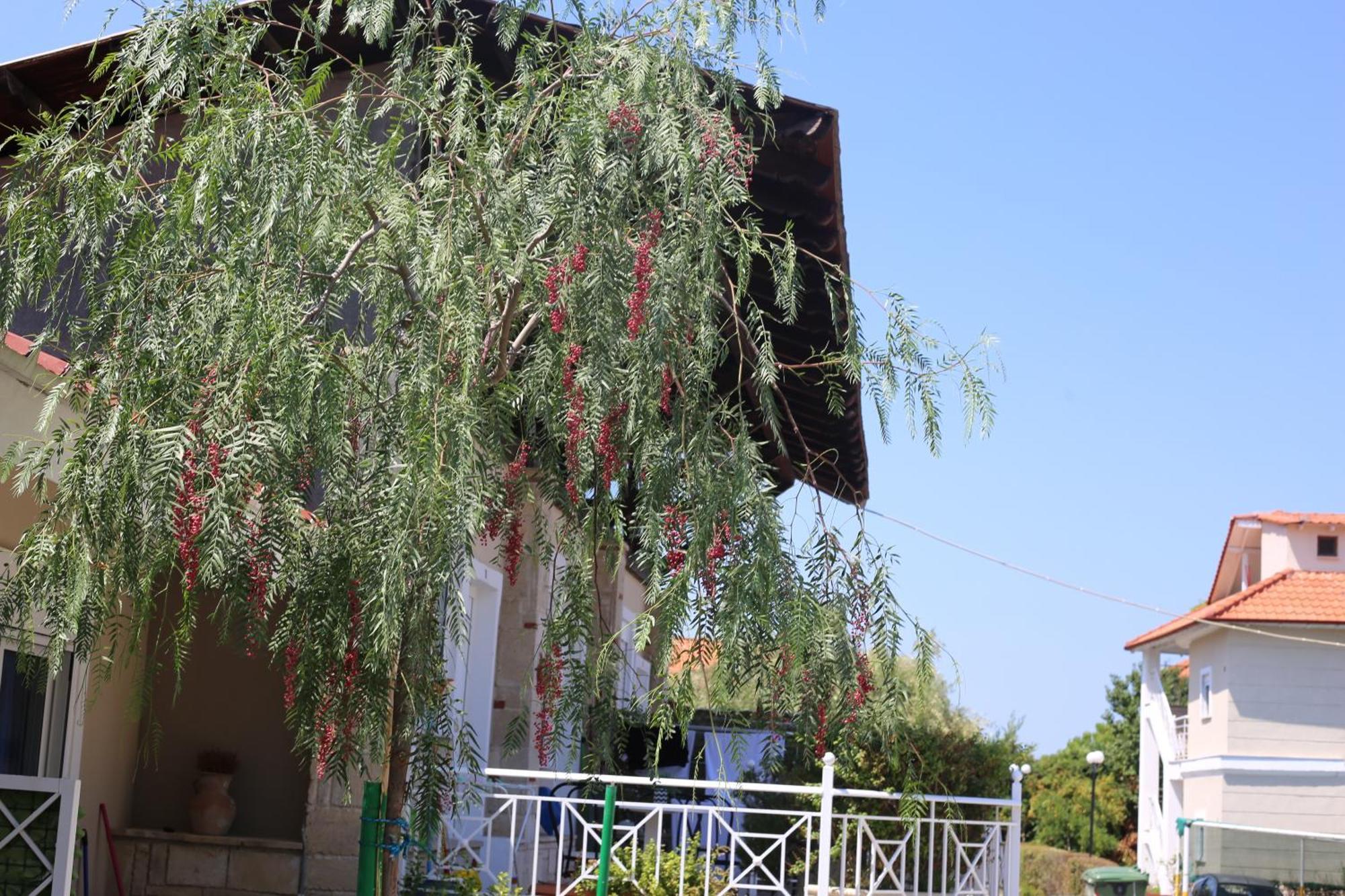 Golden Residence Family Resort Пефкохори Экстерьер фото